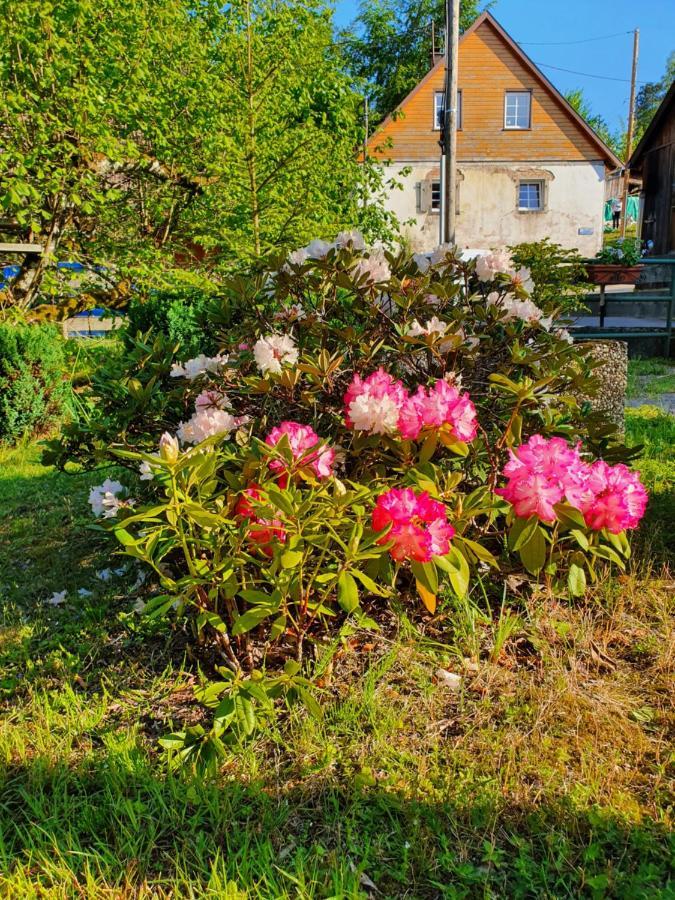 Ferienwohnung Locations Dupertuis Alsace Le Hohwald Exterior foto