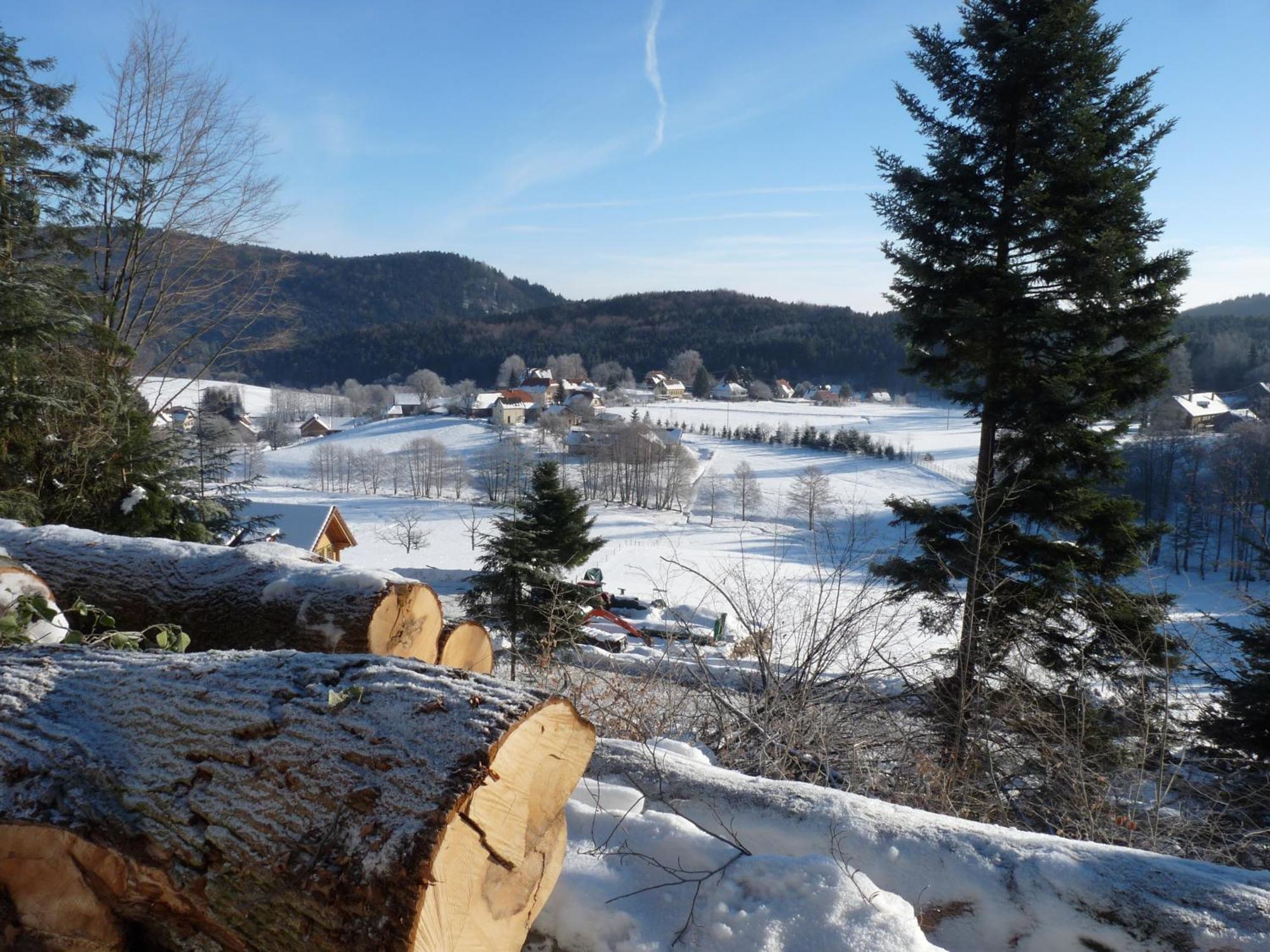 Ferienwohnung Locations Dupertuis Alsace Le Hohwald Exterior foto