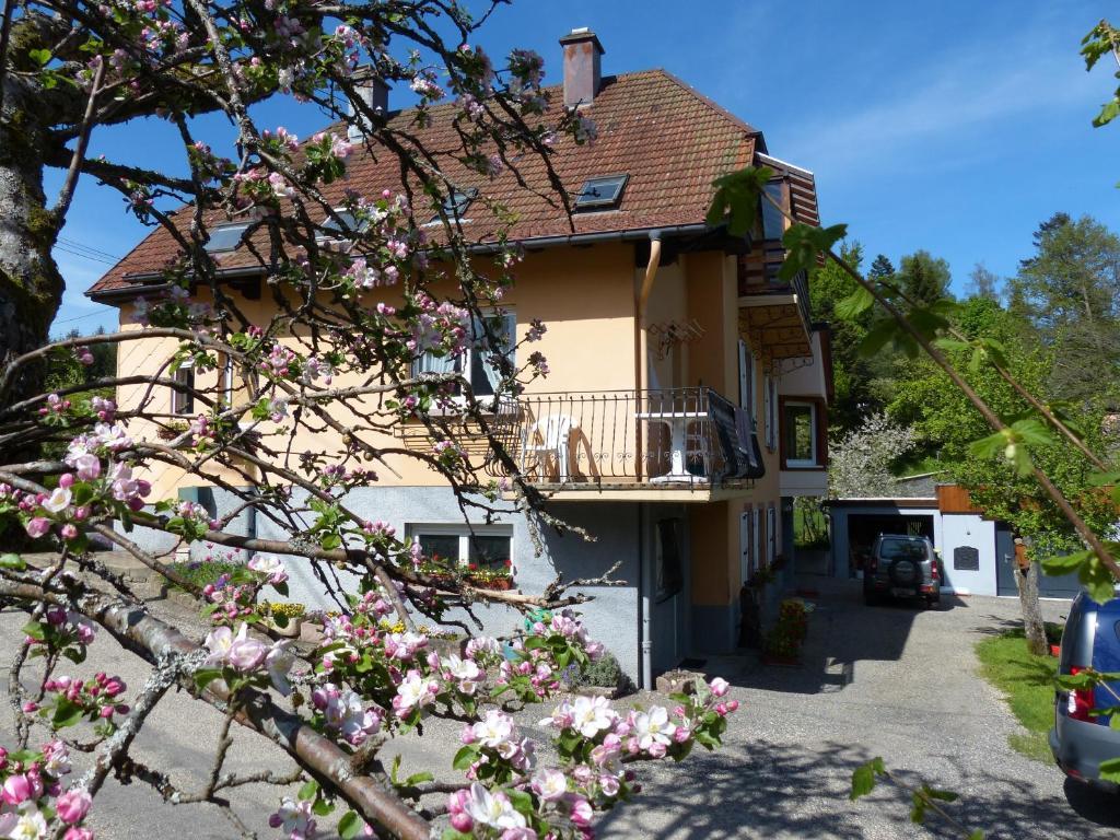 Ferienwohnung Locations Dupertuis Alsace Le Hohwald Exterior foto