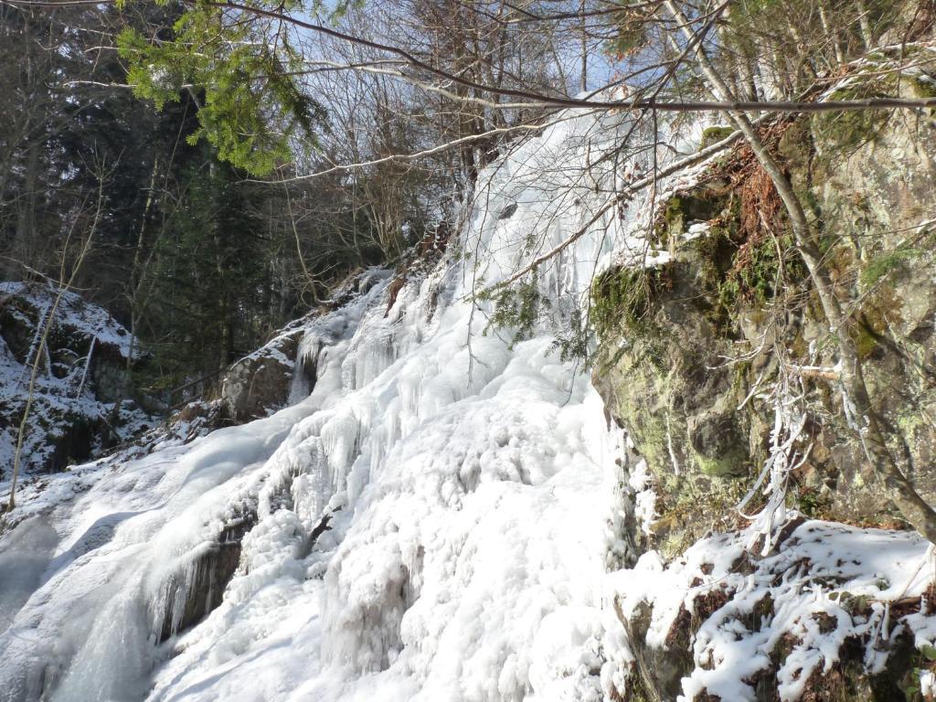 Ferienwohnung Locations Dupertuis Alsace Le Hohwald Exterior foto