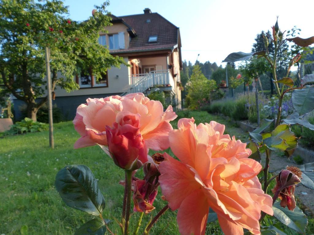 Ferienwohnung Locations Dupertuis Alsace Le Hohwald Exterior foto